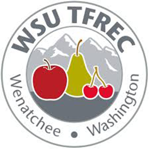 WVC Agriculture students serving as interns at WSU Tree Fruit Research and Extension Center